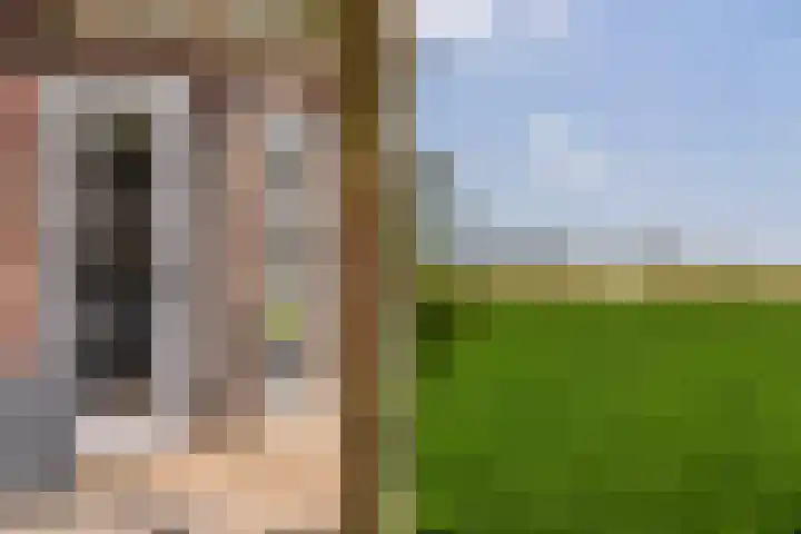 Molendijk 90 Klaaswaal thumbnail 46