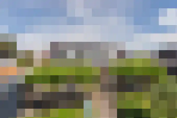 Molendijk 90 Klaaswaal thumbnail 47