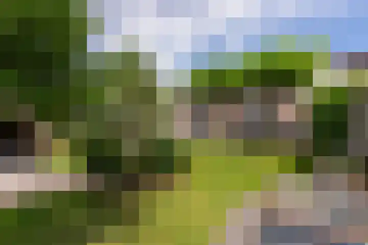 Molendijk 90 Klaaswaal thumbnail 50