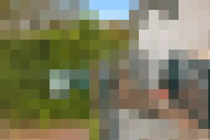Molendijk 91 Sliedrecht thumbnail 5