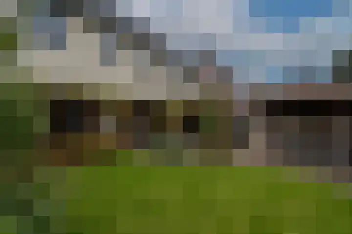 Molendijk 92 's-Gravendeel thumbnail 41