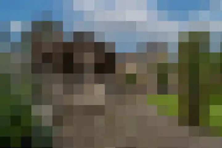 Molendijk 92 's-Gravendeel thumbnail 47