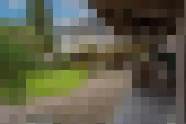 Molendijk 92 's-Gravendeel thumbnail 48