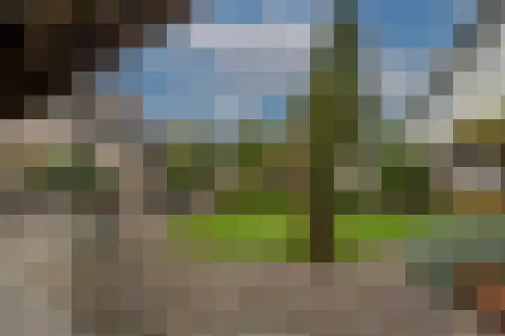 Molendijk 92 's-Gravendeel thumbnail 49