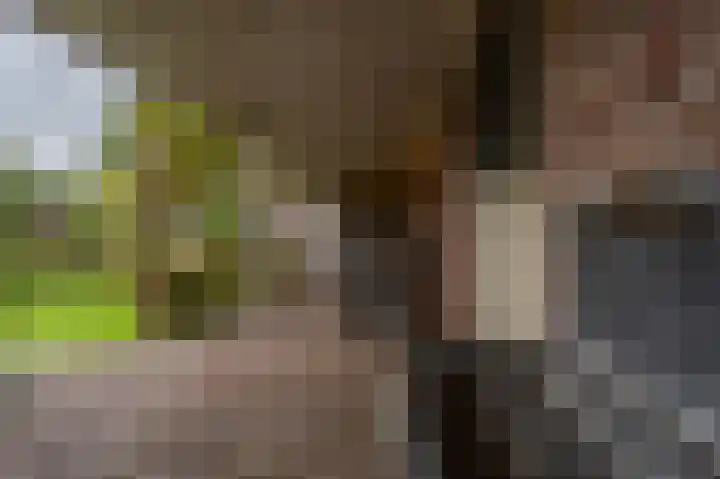Molendijk 92 's-Gravendeel thumbnail 52