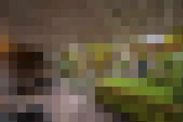 Molendijk 92 's-Gravendeel thumbnail 53