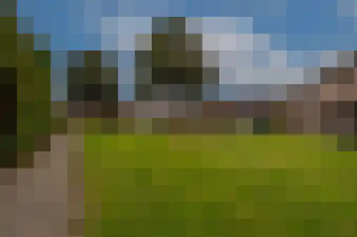 Molendijk 92 's-Gravendeel thumbnail 59