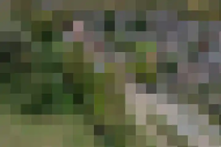 Molendijk 92 's-Gravendeel thumbnail 61