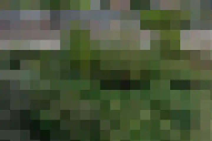 Molendijk 92 's-Gravendeel thumbnail 62