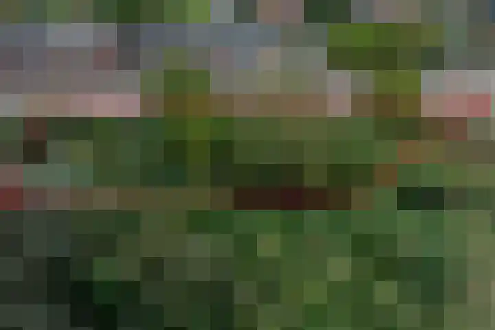 Molendijk 92 's-Gravendeel thumbnail 63