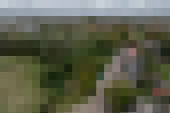 Molendijk 92 's-Gravendeel thumbnail 65