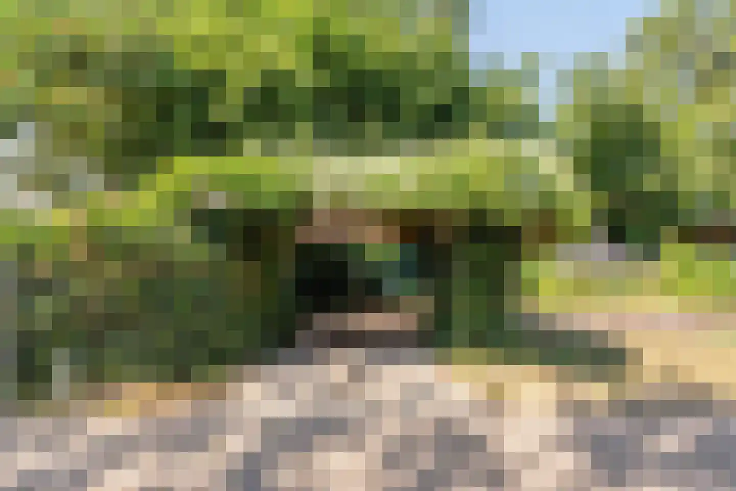 Molendijk-Noord 101 Schijndel thumbnail 27