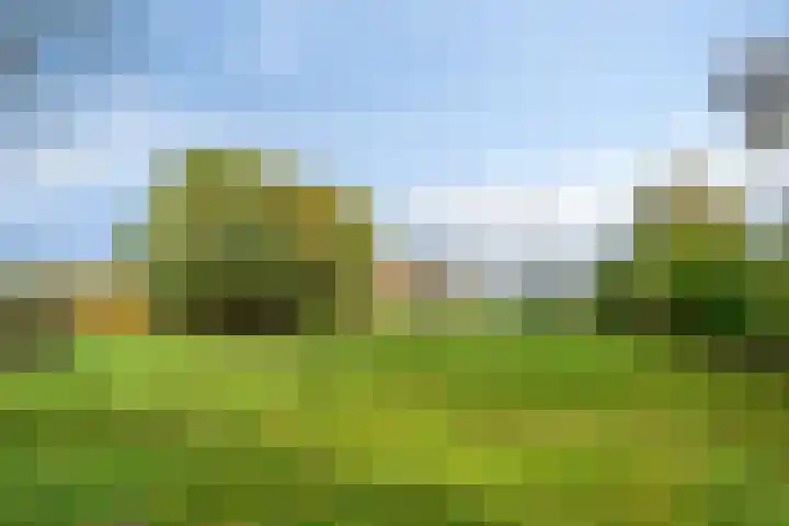 Molendijk-Noord 105 Schijndel thumbnail 38