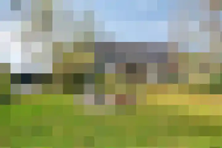 Molendijk-Noord 105 Schijndel thumbnail 39
