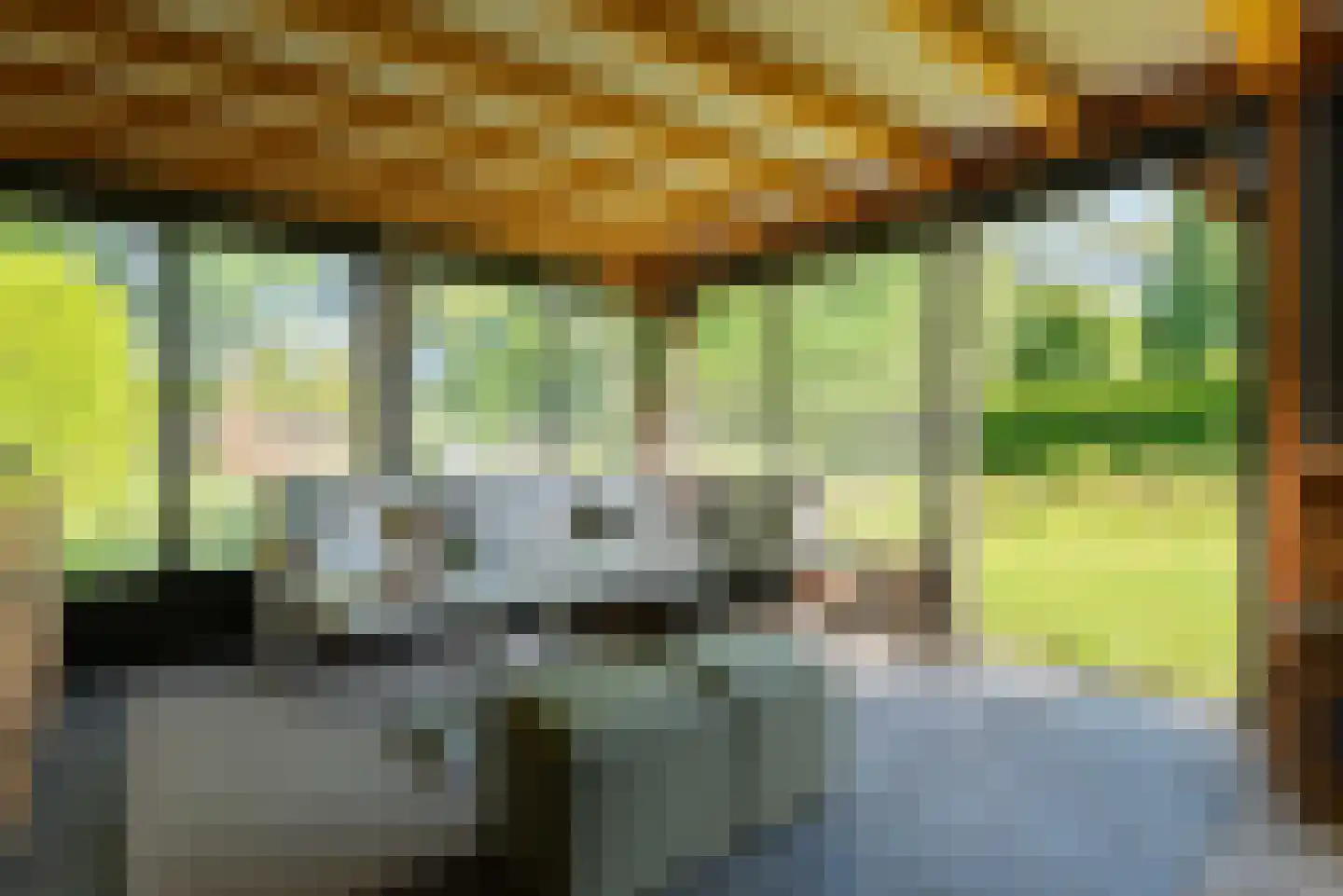 Molendijk-Noord 71 Schijndel thumbnail 64