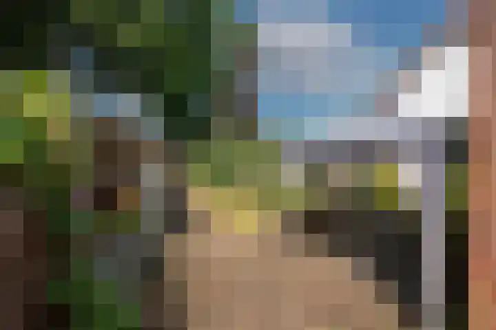 Molendijk Zuid 23 A Rijssen thumbnail 22