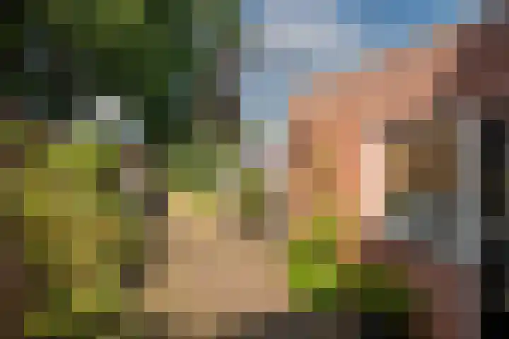 Molendijk Zuid 23 A Rijssen thumbnail 23
