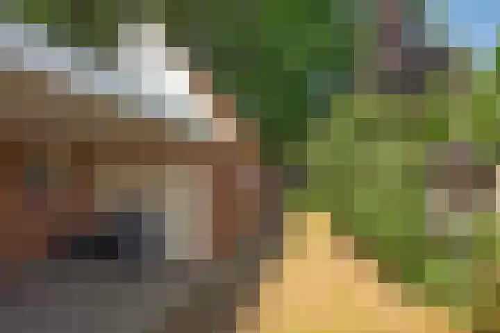 Molendijk Zuid 23 A Rijssen thumbnail 25