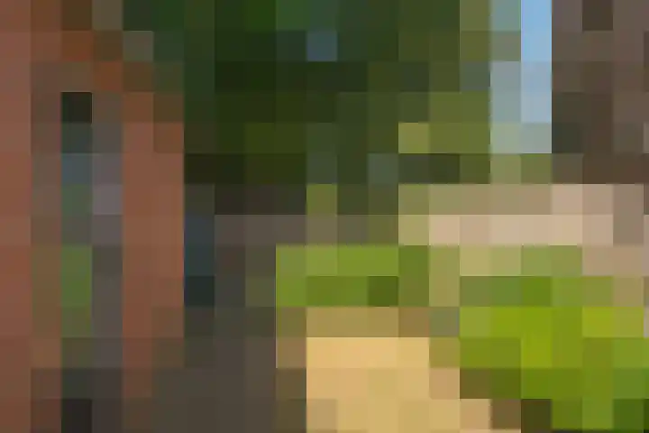 Molendijk Zuid 23 A Rijssen thumbnail 26