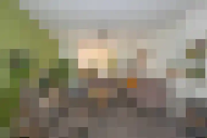 Molendijk Zuid 23 A Rijssen thumbnail 5