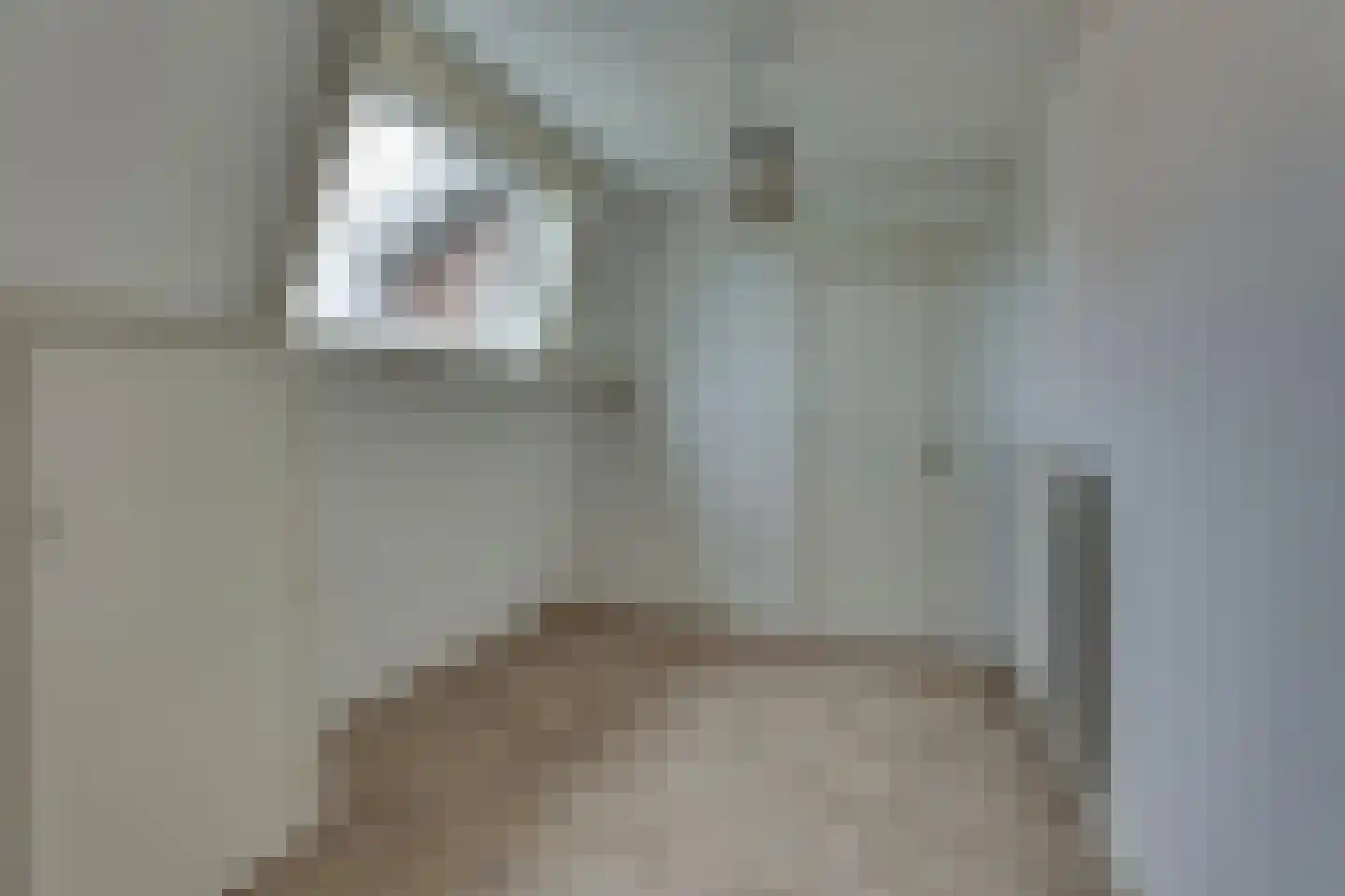 Molendijk Zuid 32 Rijssen thumbnail 30