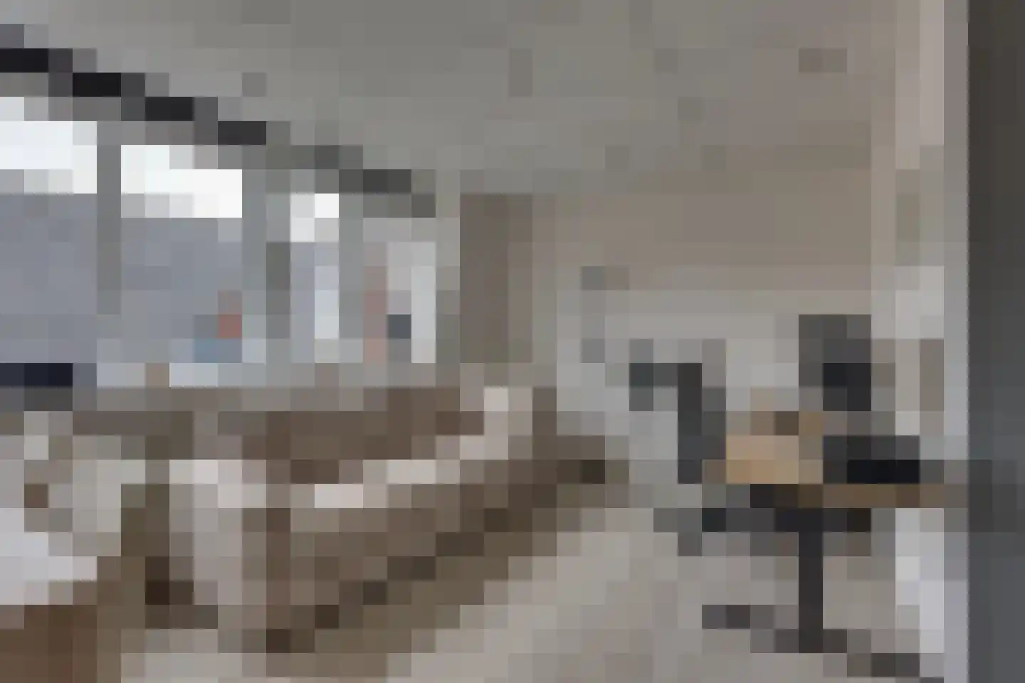 Molendijk Zuid 32 Rijssen thumbnail 36