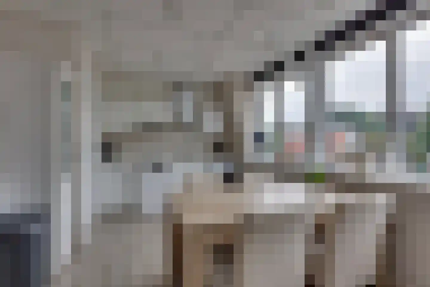 Molendijk Zuid 32 Rijssen thumbnail 38