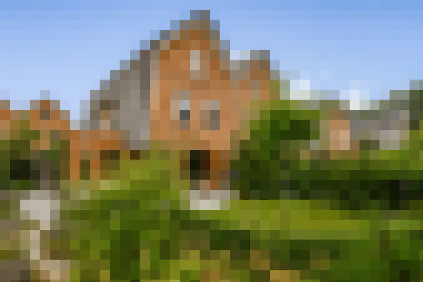 Molendijkhof 13 Dordrecht thumbnail 18