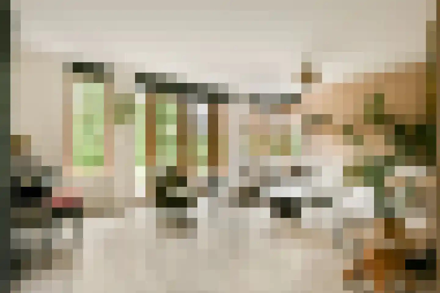 Molendijkhof 13 Dordrecht thumbnail 8