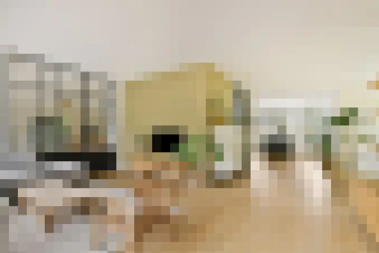 Molendijkhof 9 Dordrecht thumbnail 13