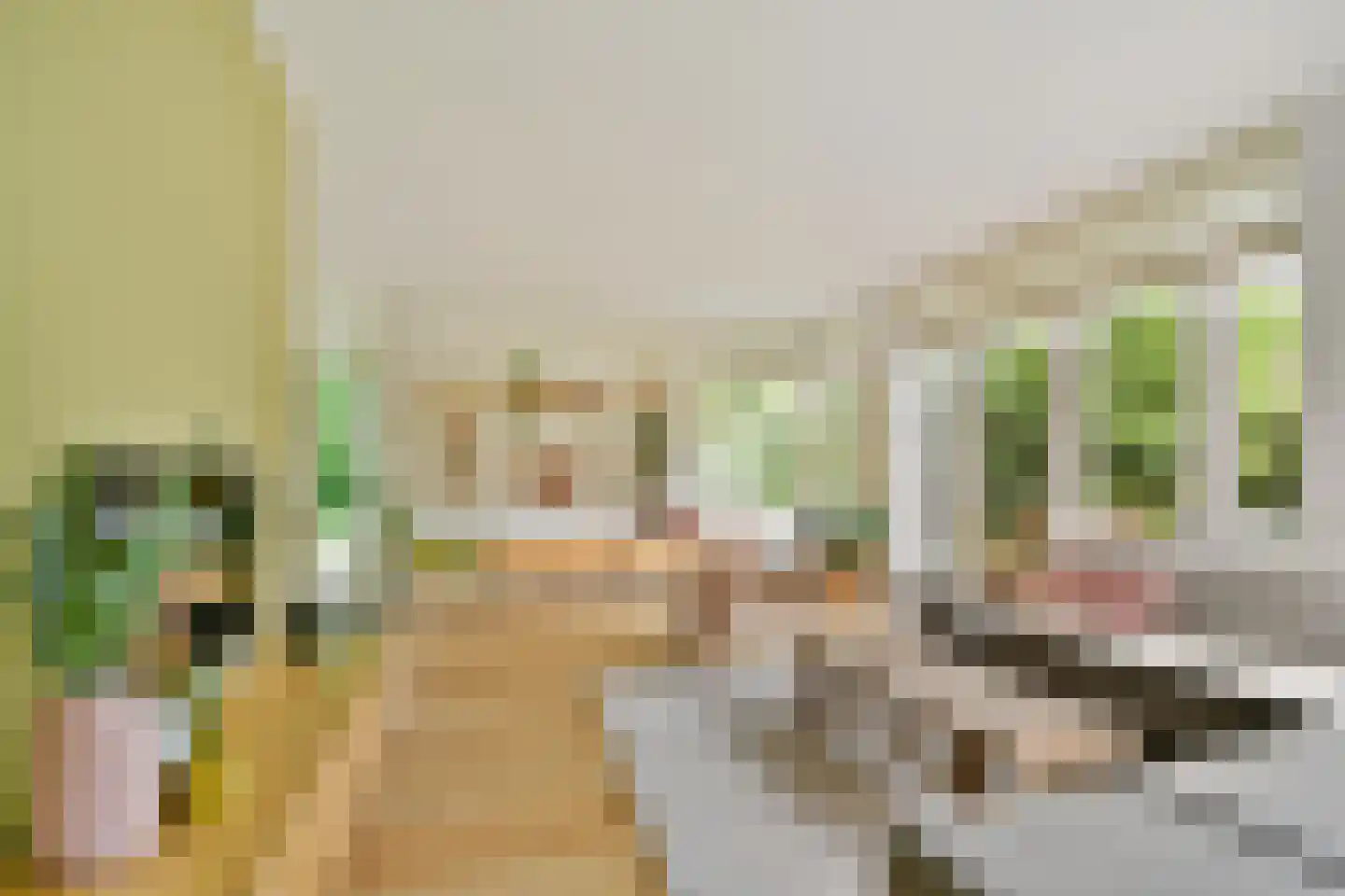 Molendijkhof 9 Dordrecht thumbnail 14