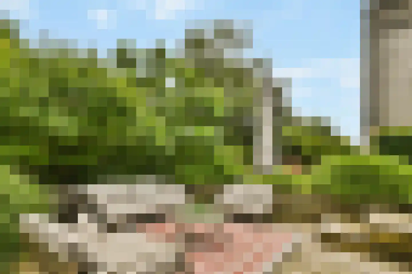 Molendijkhof 9 Dordrecht thumbnail 24