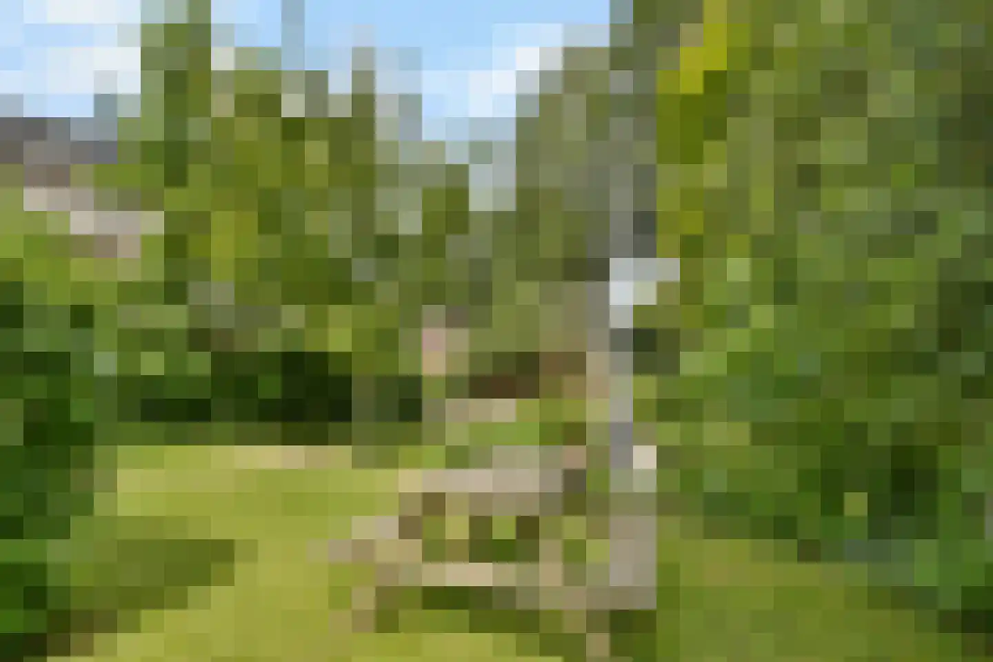 Molendijkhof 9 Dordrecht thumbnail 26