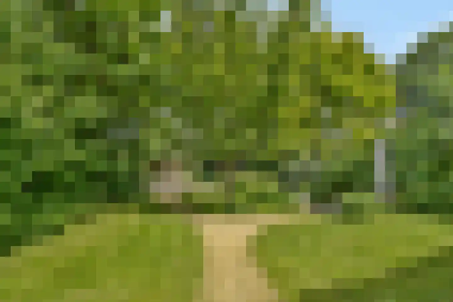 Molendijkhof 9 Dordrecht thumbnail 27