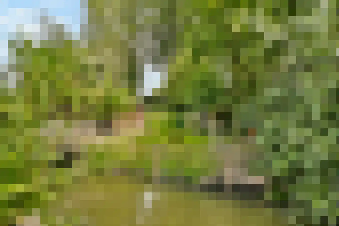 Molendijkhof 9 Dordrecht thumbnail 28