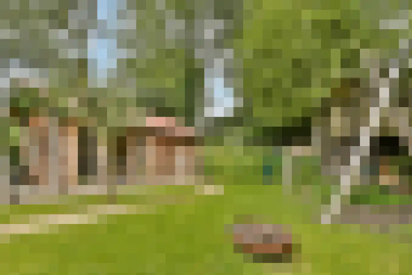 Molendijkhof 9 Dordrecht thumbnail 29