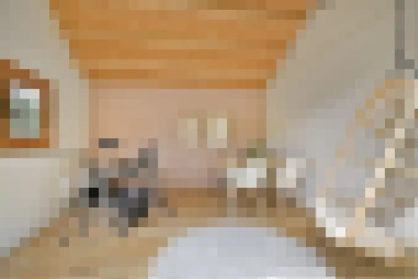 Molendijkhof 9 Dordrecht thumbnail 31