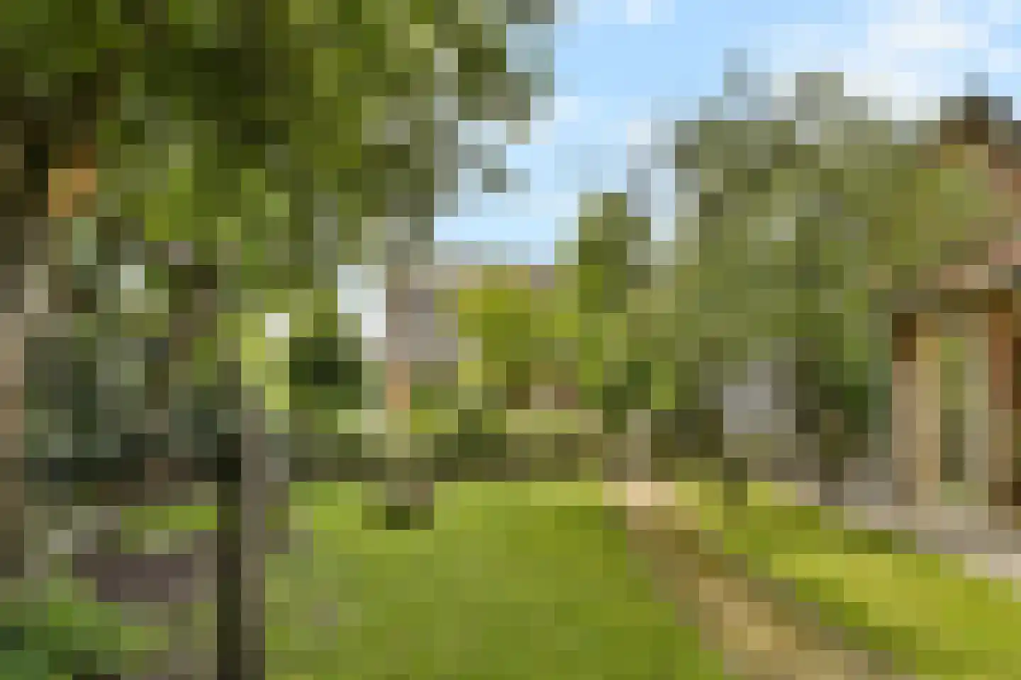 Molendijkhof 9 Dordrecht thumbnail 34