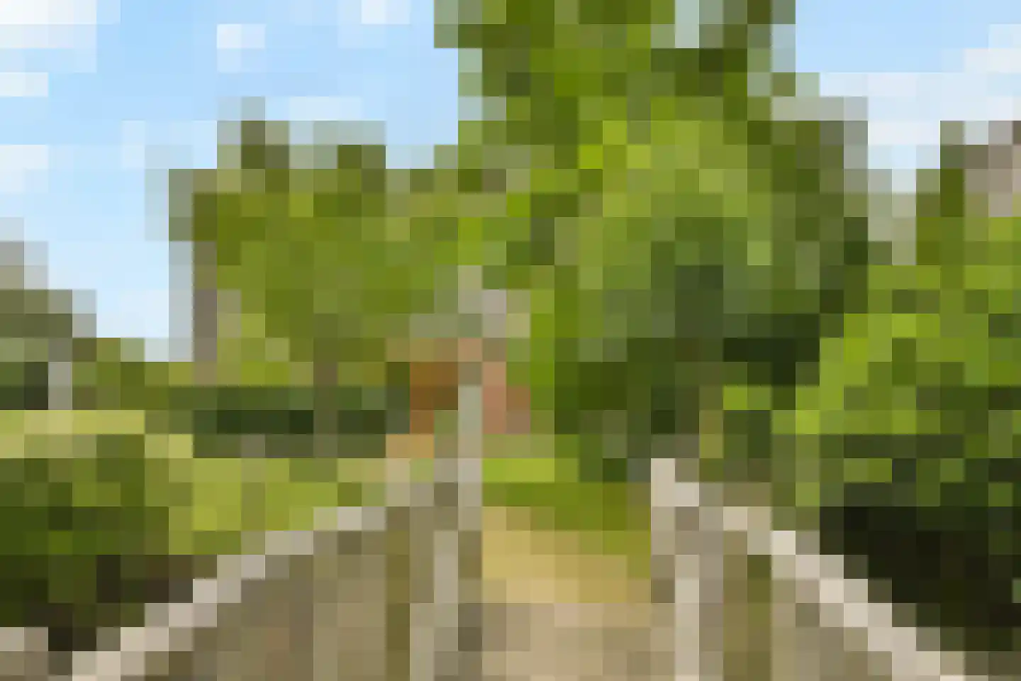 Molendijkhof 9 Dordrecht thumbnail 35