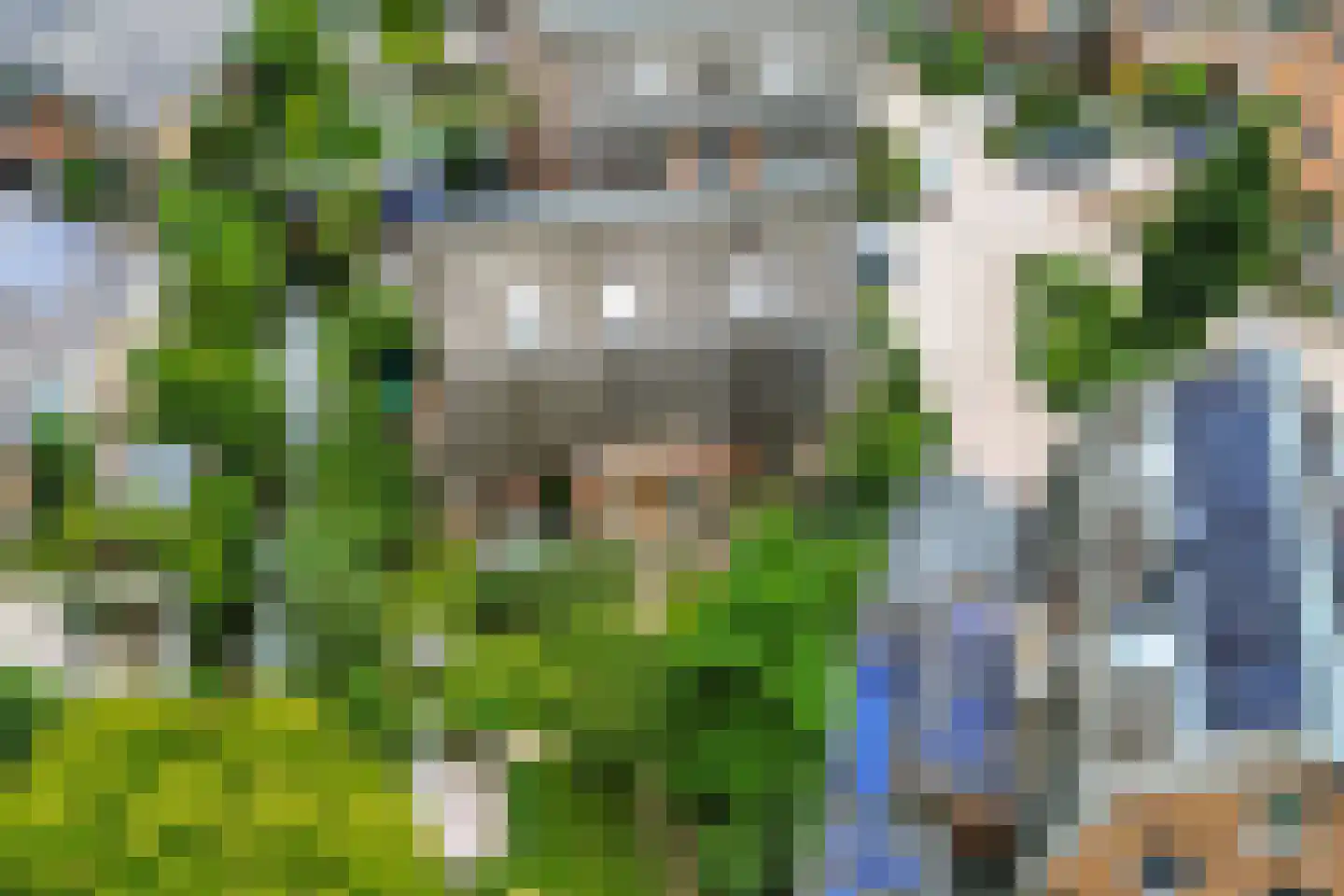 Molendijkhof 9 Dordrecht thumbnail 36