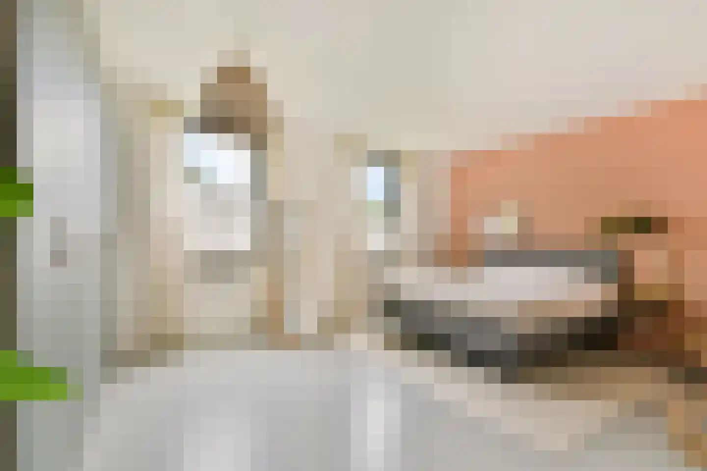 Molendijkhof 9 Dordrecht thumbnail 4