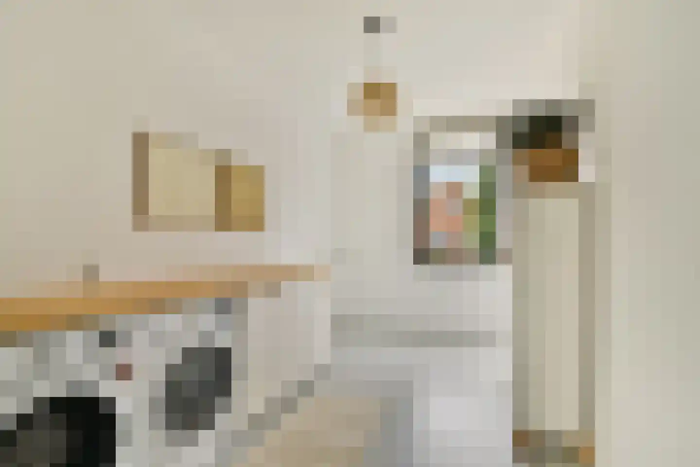 Molendijkhof 9 Dordrecht thumbnail 44