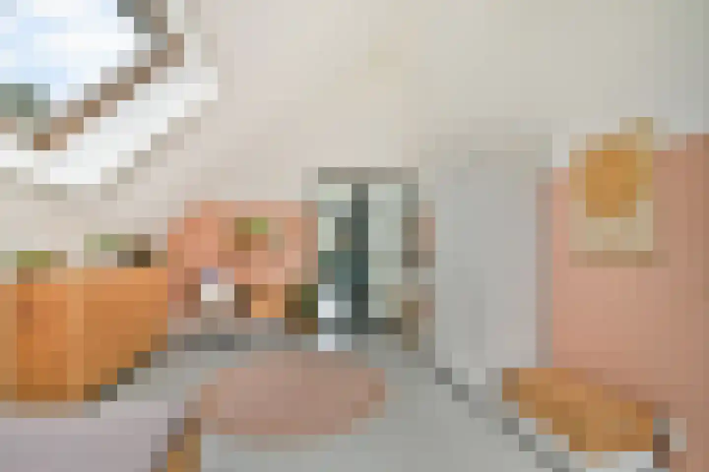 Molendijkhof 9 Dordrecht thumbnail 49