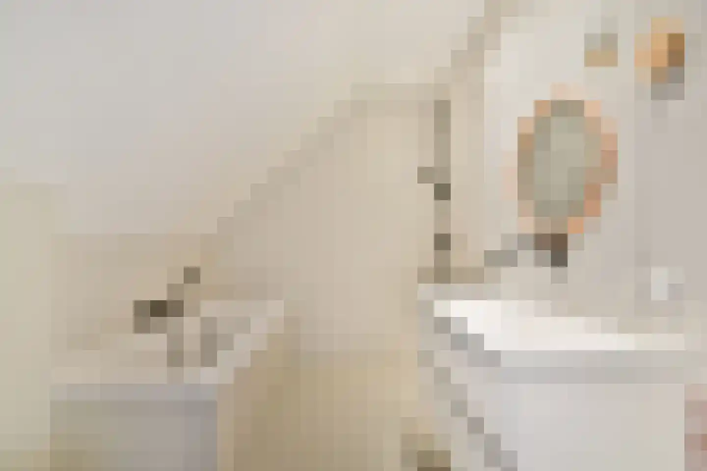 Molendijkhof 9 Dordrecht thumbnail 5
