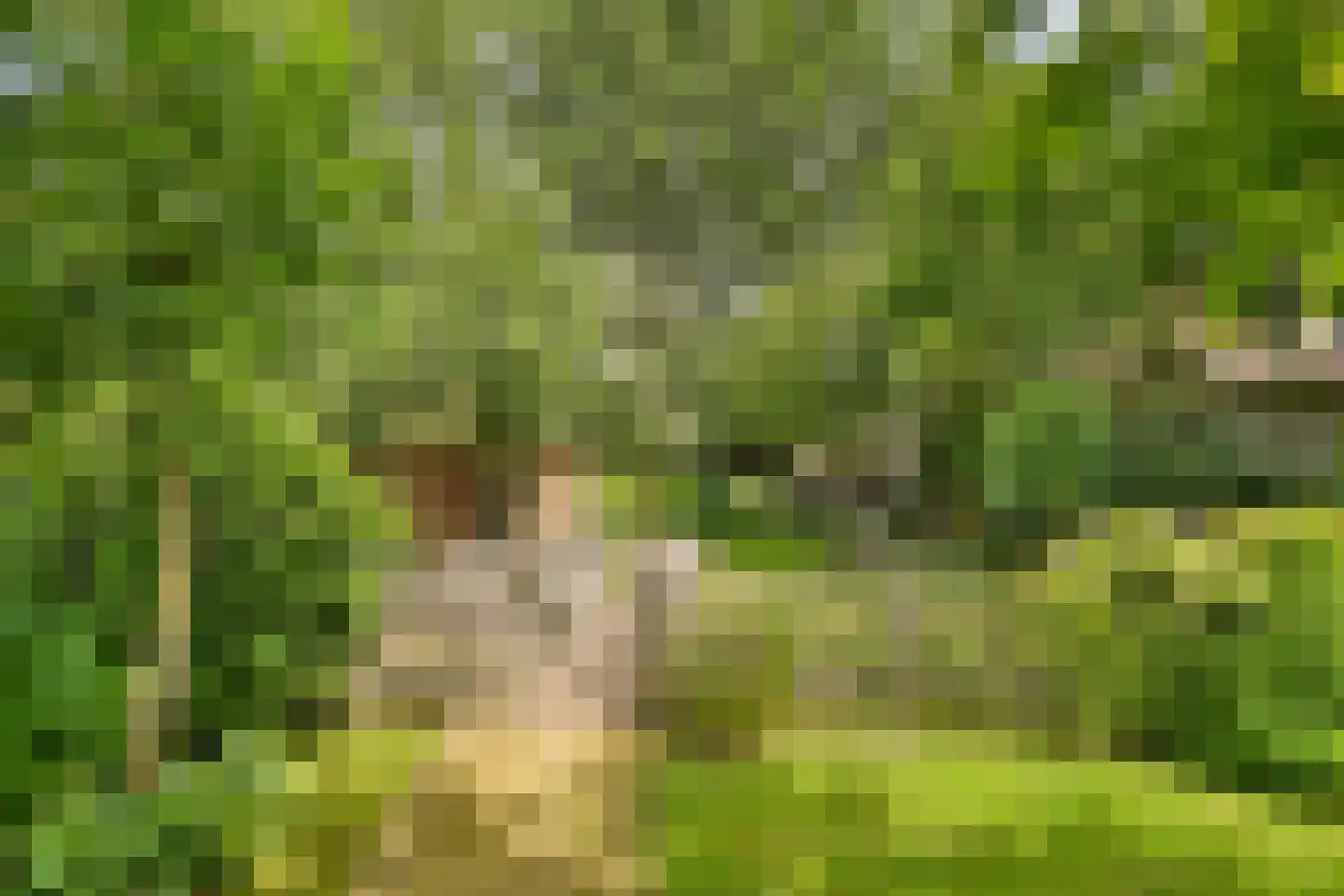 Molendijkhof 9 Dordrecht thumbnail 6