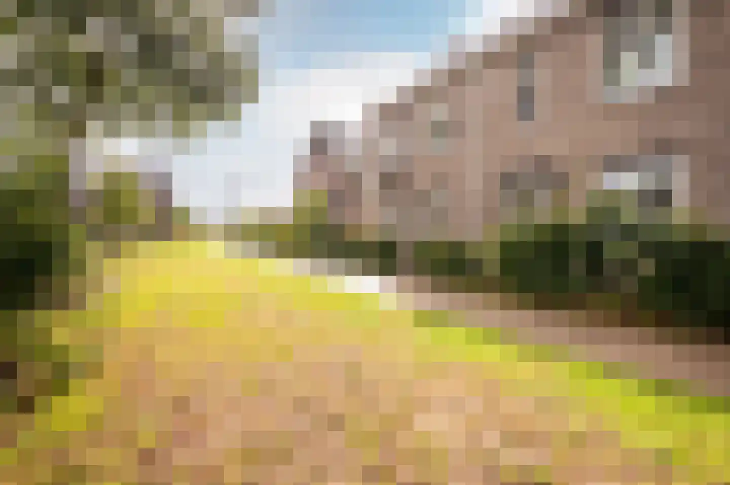 Molendijkjes 25 A Elburg thumbnail 31