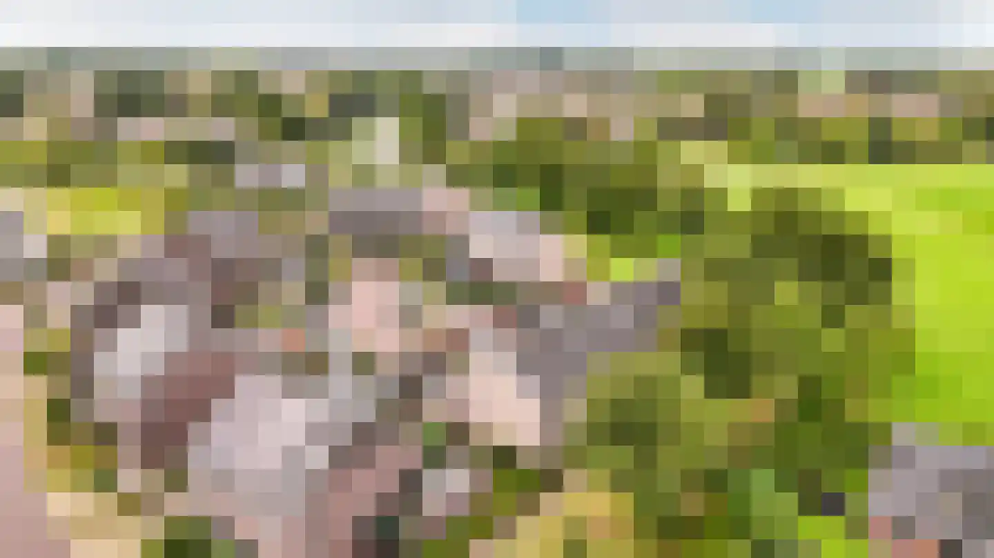 Molendijkjes 25 A Elburg thumbnail 33