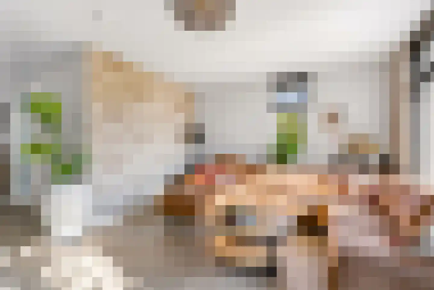 Molendijkjes 25 Elburg thumbnail 18