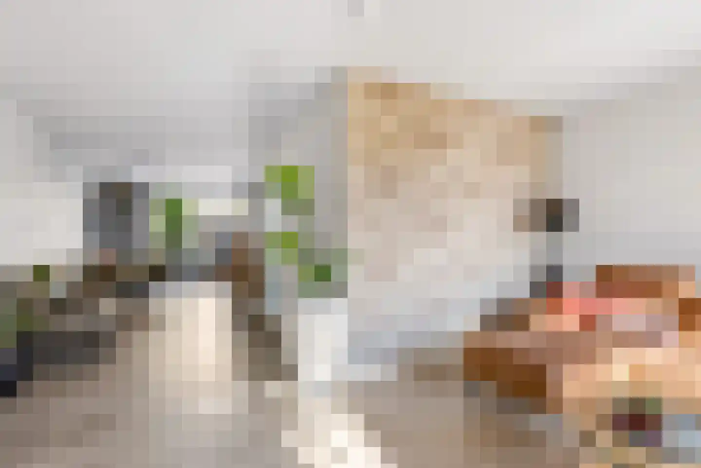 Molendijkjes 25 Elburg thumbnail 22