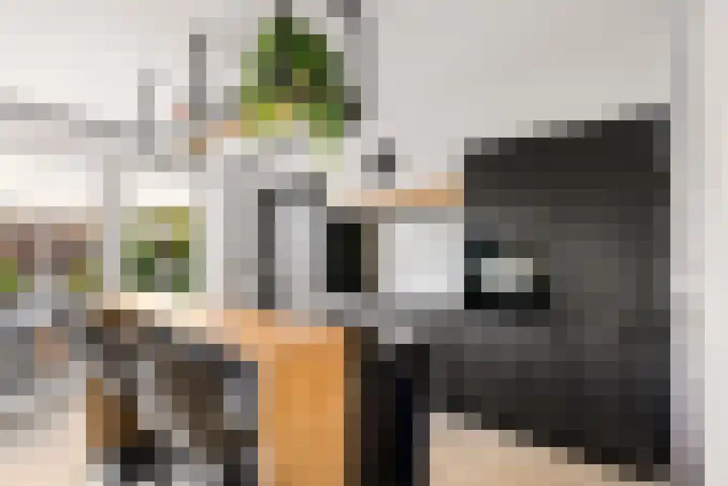 Molendijkjes 25 Elburg thumbnail 23